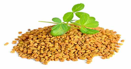 خواص برگ شنبلیله برای دیابت ؛ فواید مصرف برگ شنبلیله برای افراد دیابتی