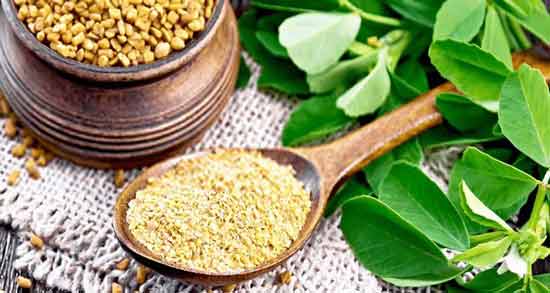 خواص برگ شنبلیله برای مو ؛ تاثیر استفاده از برگ شنبلیله برای سلامت مو