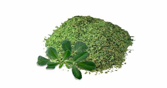 خواص برگ شنبلیله خشک ؛ آشنایی با خواص درمانی برگ شنبلیله خشک