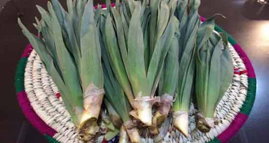 خواص برگ چریش برای پوست ؛ داشتن پوستی سالم با مصرف برگ چریش