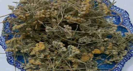خواص بومادران برای رفلاکس معده ؛ فواید خوردن بومادران برای درمان رفلاکس معده