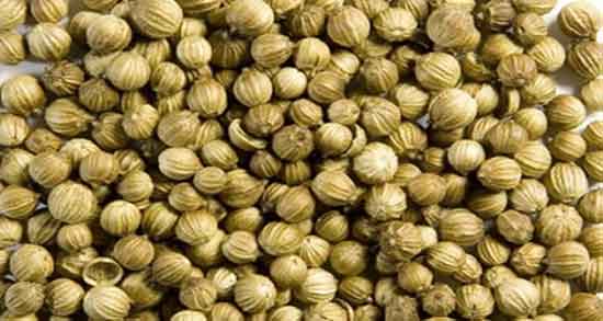 خواص تخمه گشنیز برای لاغری و دیابت و خواص دمنوش تخم گشنیز خواص تخمه گشنیز برای لاغری و دیابت و خواص دمنوش تخم گشنیز