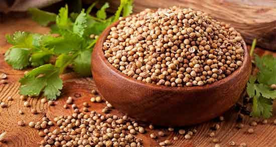 خواص تخمه گشنیز برای لاغری ؛ فواید تخمه گشنیز برای لاغری