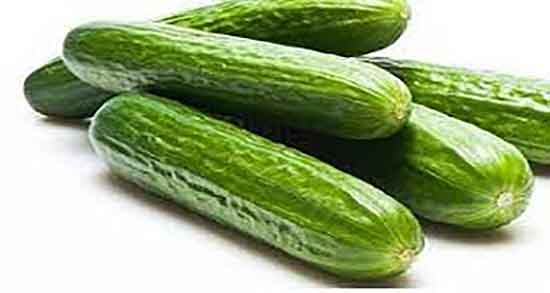 خواص خیار تلخ برای دیابت و ایا خوردن خیار تلخ برای قند خون مفید است خواص خیار تلخ برای دیابت ؛ ایا خوردن خیار تلخ برای قند خون مفید است