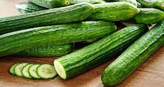 خواص خیار تلخ در طب سنتی ؛ مصرف روزانه خیار تلخ از نظر طب سنتی