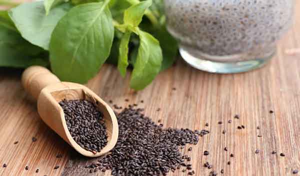 مضرات دانه ریحان طریقه مصرف تخم ریحان دانه ریحان برای لاغری خواص بذر ریحان در طب سنتی تخم ریحان برای سرفه قیمت تخم ریحان تخم ریحان همان تخم شربتی است طرز تهیه شربت دانه ریحان