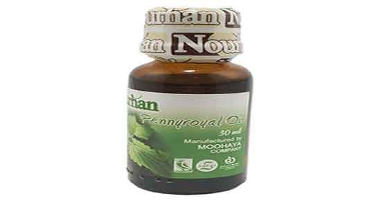 خواص درمانی روغن پونه ؛ فواید مصرف روغن پونه برای زنان باردار چیست