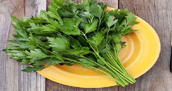 خواص دمنوش جعفری برای کلیه ؛ پاک سازی و سم زدایی مثانه و کلیه با دمنوش جعفری