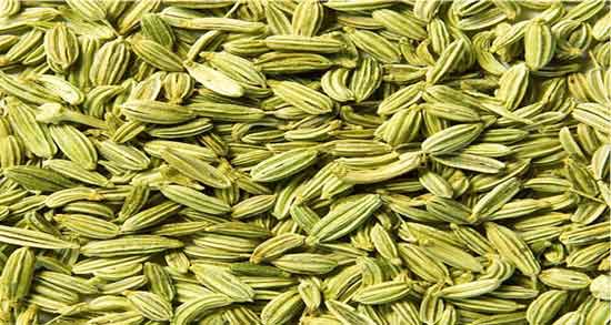 خواص رازیانه برای زنان در طب اسلامی و آشنایی با فواید رازیانه برای حفظ سلامت زنان از نظر طب اسلامی