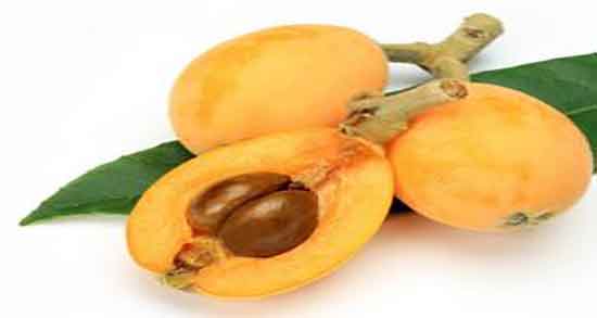 خواص رب ازگیل جنگلی ؛ تاثیر استفاده از رب ازگیل جنگلی برای غذا