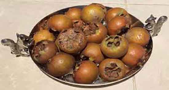 خواص رب ازگیل در بارداری ؛ فواید مصرف رب ازگیل برای زنان باردار چیست