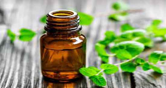 خواص روغن ارگانو یا پونه کوهی ؛ خاصیت روغن ارگانو یا پونه کوهی چیست
