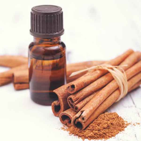 خواص روغن دارچین برای واژن و ناف و مردان و پوست و مو در طب اسلامی خواص روغن دارچین برای واژن روغن دارچین در ناف خواص روغن دارچین برای مردان خواص روغن دارچین برای پوست صورت خواص روغن دارچین طب اسلامی خواص روغن دارچین برای مو خواص روغن دارچین برای ماساژ روغن دارچین برای نعوظ