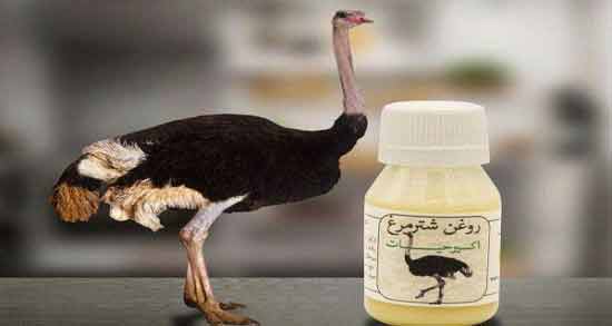 خواص روغن شترمرغ برای واژن ؛ درمان خشکی واژن با مصرف روغن شترمرغ