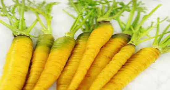 خواص زردک برای چشم ؛ تقویت بینایی با مصرف زردک