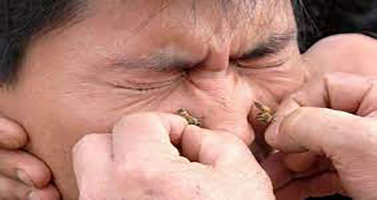 خواص زهله گاو برای رحم ؛ خاصیت زهله گاو برای درمان عفونت رحم
