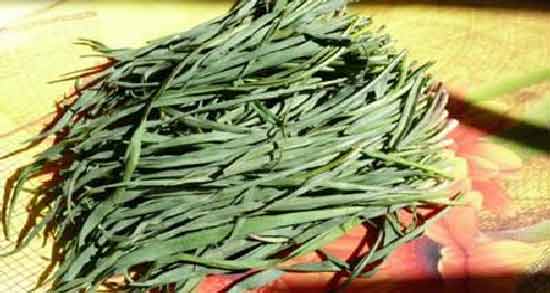 خواص سیر کوهی برای مو ؛ افزایش رشد مو با مصرف سیر کوهی