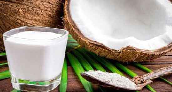 خواص شیر نارگیل در طب سنتی ؛ آشنایی با خاصیت درمانی شیر نارگیل از نظر طب سنتی