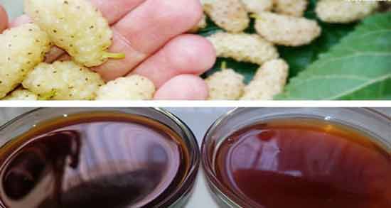 خواص شیره توت در قاعدگی و خاصیت خوردن شیره توت در دوران پریودی خواص شیره توت در قاعدگی ؛ خاصیت خوردن شیره توت در دوران پریودی