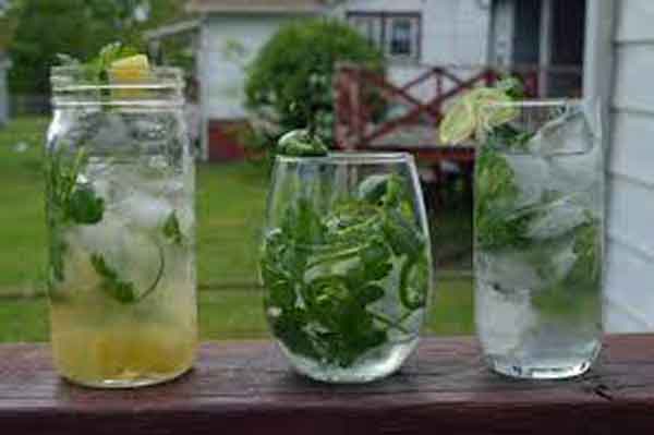 خواص عرق جعفری برای لاغری و کم خونی و پوست و رحم خواص جعفری app خواص و مضرات جعفری خواص جعفری برای کبد خواص گشنیز جعفری برای لاغری خواص دمنوش جعفری فواید جعفری دم کرده خواص تره