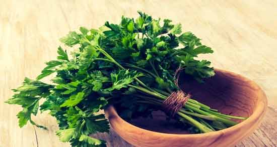 خواص عرق جعفری برای کم خونی ؛ فواید مصرف عرق جعفری برای درمان کم خونی