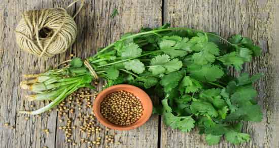 خواص عرق گشنیز برای پوست ؛ درمان مشکلات پوستی با مصرف عرق گشنیز