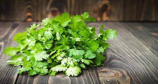 خواص عرق گشنیز چیست ؛ استفاده از عرق گشنیز چه خاصیتی دارد