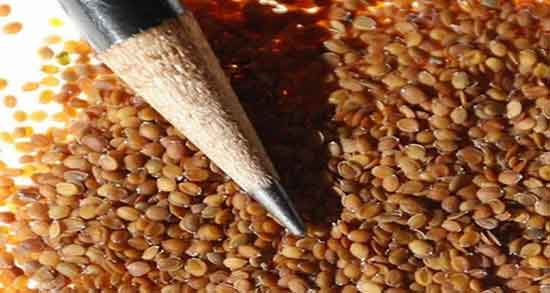 خواص قدومه و بارهنگ ؛ استفاده از قدومه و بارهنگ برای سرماخوردگی