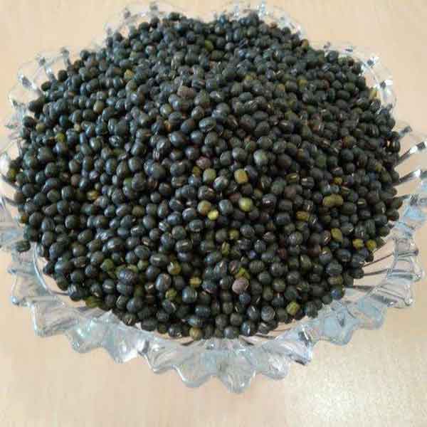 
تفاوت ماش و قره ماش
خواص قره ماش برای کبوتر
خواص ماش برای مردان
مضرات ماش
خواص ماش برای کبد چرب
مزاج قره ماش
خواص ماش سیاه
قیمت قره ماش برای کبوتر