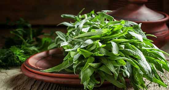 خواص مرزه برای معده ؛ فواید مصرف مرزه برای درمان معده درد