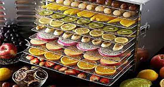 خواص میوه خشک نارگیل و فواید مصرف میوه خشک ناگیل برای بینایی خواص میوه خشک نارگیل ؛ فواید مصرف میوه خشک ناگیل برای بینایی