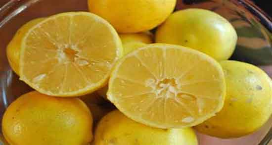 خواص هسته لیمو ترش در دوران بارداری ؛ هسته لیمو ترش برای بارداران