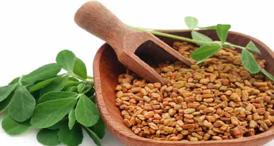 خواص و مضرات برگ شنبلیله ؛ همه چیز درباره استفاده از برگ شنبلیله
