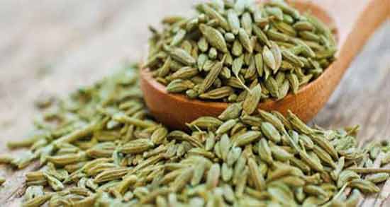 خواص و مضرات رازیانه برای زنان شیرده و همه چیز درباره مصرف رازیانه برای شیر مادر خواص و مضرات رازیانه برای زنان شیرده و همه چیز درباره مصرف رازیانه برای شیر مادر