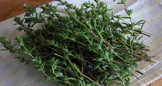 خواص و مضرات مرزه ؛ همه چیز درباره مصرف مرزه
