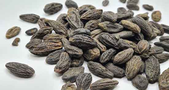 خواص و مضرات هل باد ؛ همه چیز درباره مصرف هل باد