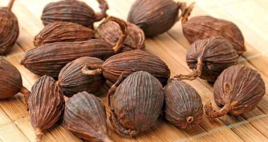 خواص و مضرات هل سیاه و همه چیز درباره مصرف هل سیاه خواص و مضرات هل سیاه ؛ همه چیز درباره مصرف هل سیاه