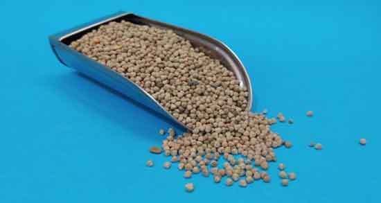 خواص گاودانه برای مرغ ؛ تاثیر استفاده از گاودانه برای غذای دام و طیور