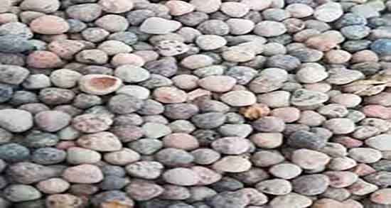 خواص گاودانه در طب سنتی ؛ فواید مصرف گاودانه از نظر طب سنتی