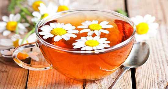 خوردن بابونه در دوران بارداری نی نی سایت ؛ خواص و مضرات بابونه برای زن باردار