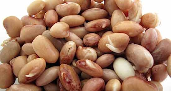 خوردن لوبیا چیتی جوانه زده ؛ فواید و مضرات خوردن لوبیا چیتی جوانه زده