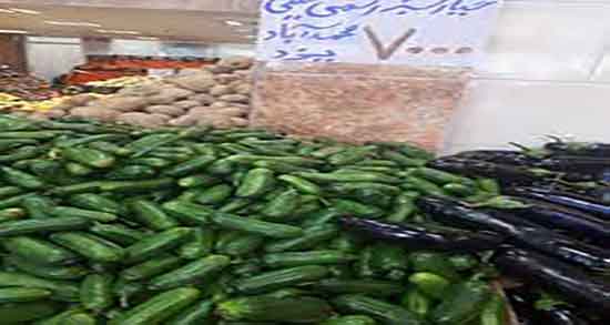 خیار تلخ و خواص آن ؛ فواید مصرف خیار تلخ قبل از خوردن غذا چیست