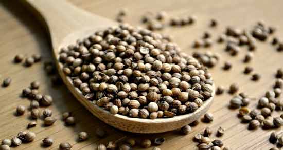دمنوش تخمه گشنیز برای لاغری ؛ تاثیر خوردن دمنوش تخمه گشنیز برای کاهش وزن
