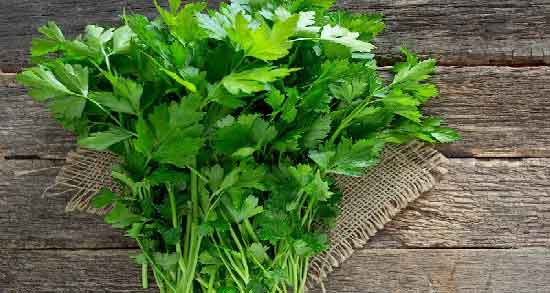 دمنوش جعفری و زنجبیل ؛ تقویت ایمنی بدن با مصرف دمنوش جعفری و زنجبیل