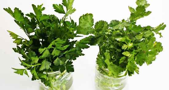 دمنوش جعفری و لیمو برای لاغری ؛ تاثیر خوردن دمنوش جعفری و لیمو برای کاهش وزن