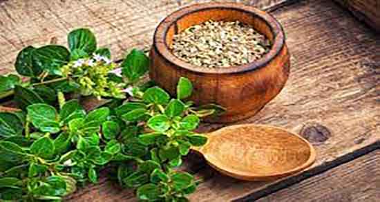 دمنوش مرزنجوش نیوشا ؛ خاصیت خوردن مرزنجوش نیوشا برای کم خونی