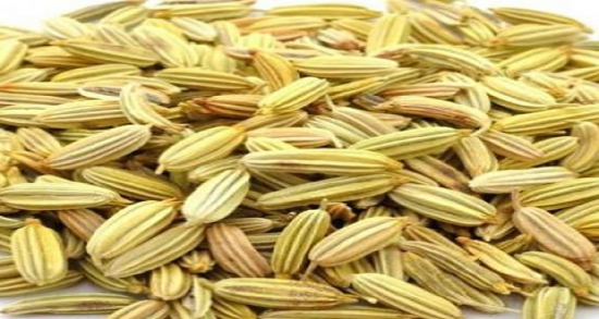 رازیانه برای سقط جنین نی نی سایت ؛ فواید رازیانه برای سقط جنین چیه