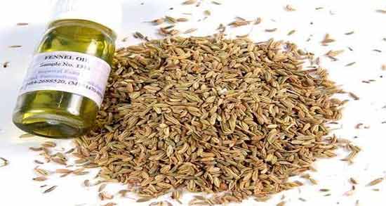 رازیانه برای موهای زیر چانه و از بین بردن موهای زائد با استفاده از رازیانه