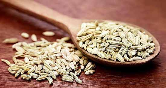 رازیانه و قاعدگی در طب سنتی همه چیز درباره فواید و مضرات مصرف رازیانه برای دوران قاعدگی