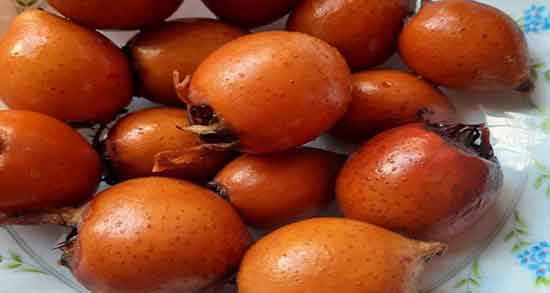رب ازگیل برای دیابت ؛ خاصیت خوردن رب ازگیل برای قند خون زنان حامله